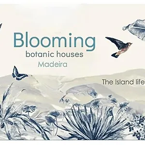 madeira-wine-cottages.madeira-islandshotels.com/
